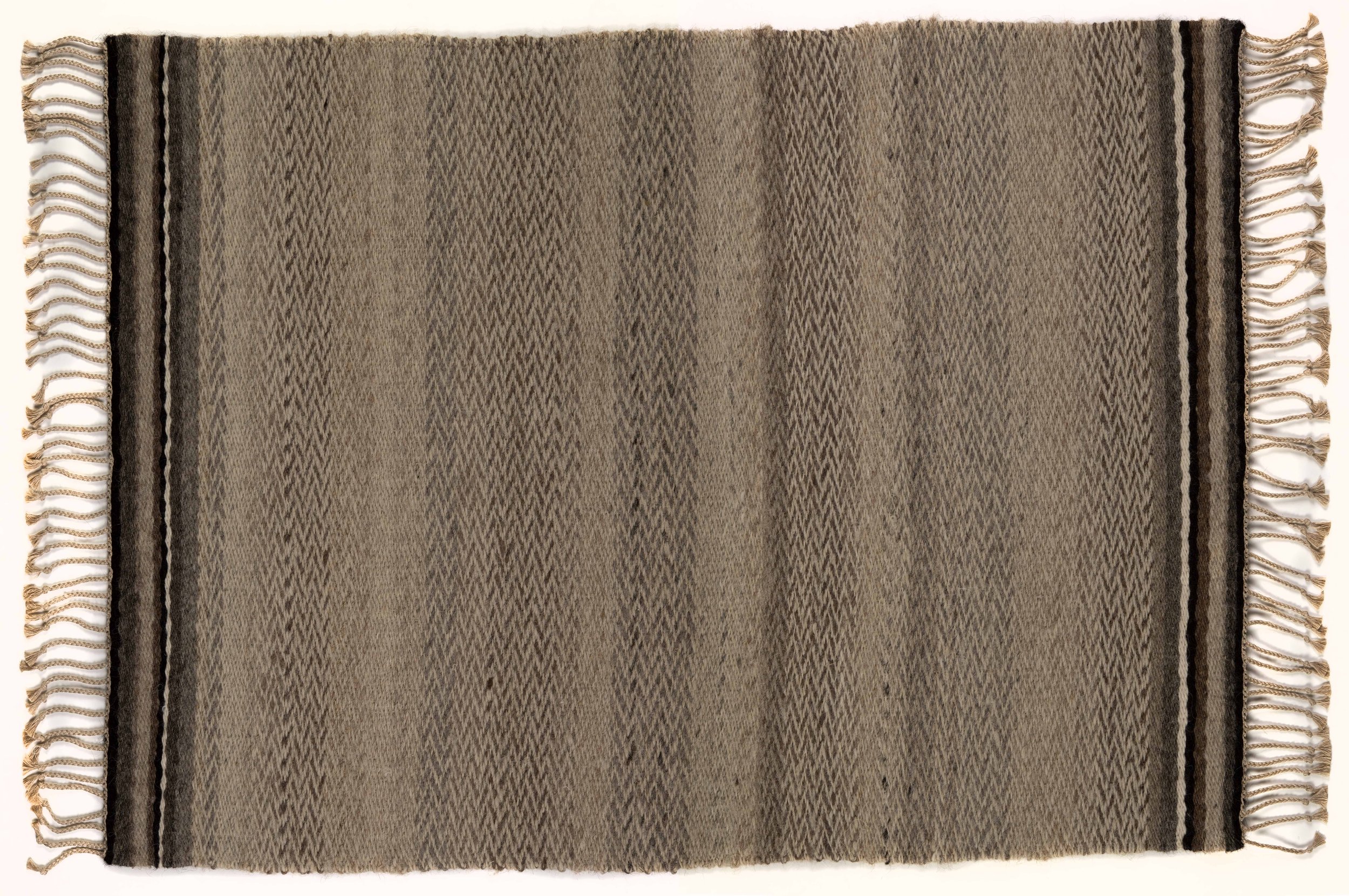 03_TAYLOR_Ten_Shades_of_Sheep_creditDaveBrown.jpg
