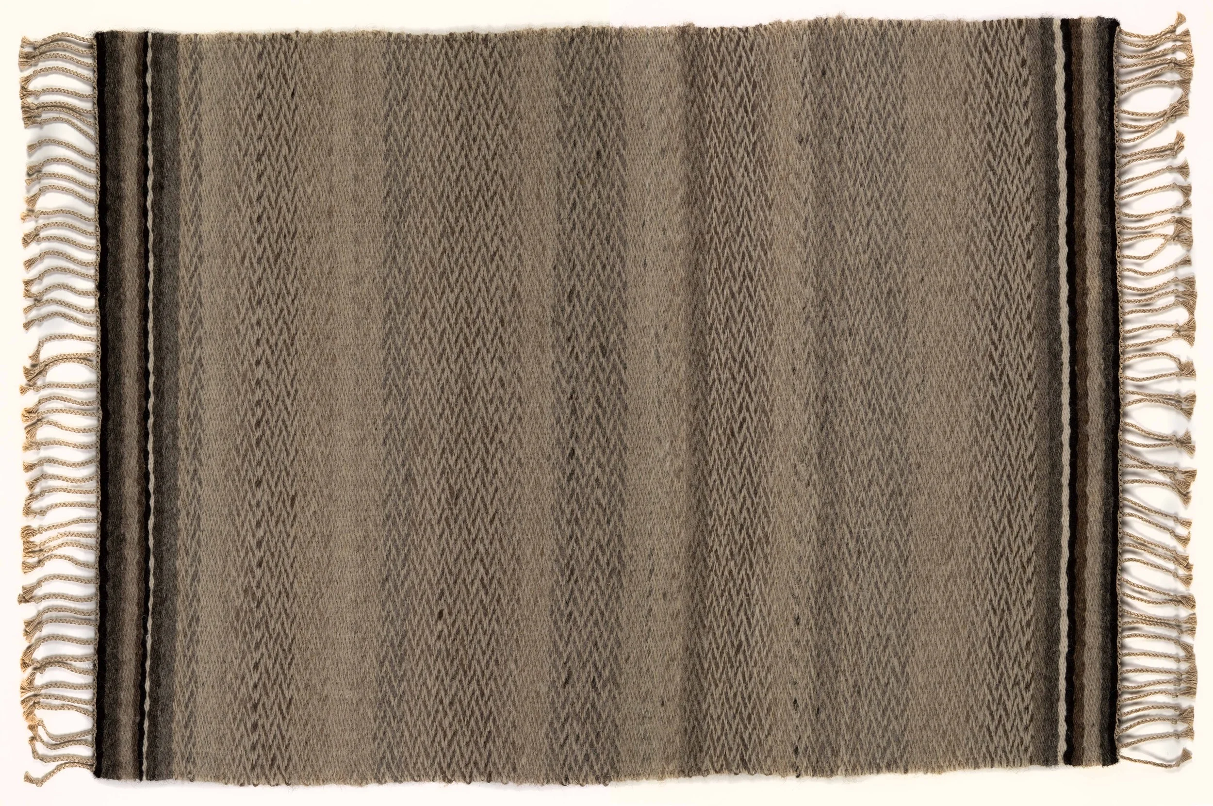 03_TAYLOR_Ten_Shades_of_Sheep_creditDaveBrown.jpg